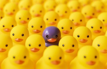 Purple plastic duck with yellow ones