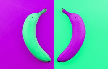 2 colour bananas