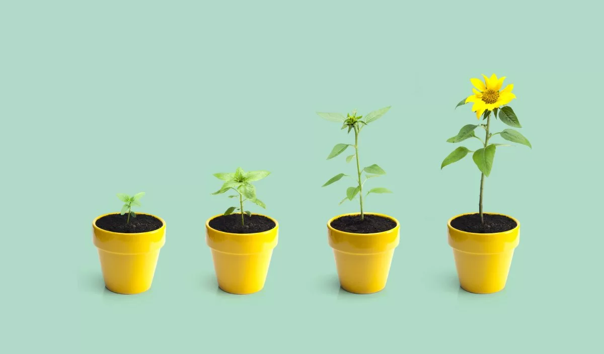 What is the ROI of Branding?
